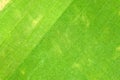 Close up aerial view of surface of green freshly cut grass on football stadium in summer Royalty Free Stock Photo