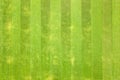 Close up aerial view of surface of green freshly cut grass on football stadium in summer Royalty Free Stock Photo