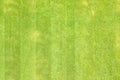 Close up aerial view of surface of green freshly cut grass on football stadium in summer Royalty Free Stock Photo