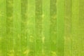 Close up aerial view of surface of green freshly cut grass on football stadium in summer Royalty Free Stock Photo