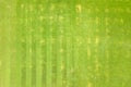 Close up aerial view of surface of green freshly cut grass on football stadium in summer Royalty Free Stock Photo