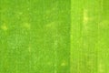 Close up aerial view of surface of green freshly cut grass on football stadium in summer Royalty Free Stock Photo