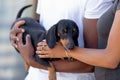 Close up African American couple in love standing with dog Royalty Free Stock Photo