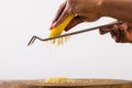 Close-up of african american male chef grating cheese against white background, copy space Royalty Free Stock Photo