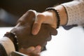 Multiracial people handshaking greeting with achievement or succ Royalty Free Stock Photo