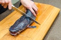 Close-up of African catfish, cooking, cleaning fish. Woman cuts fins off fish before cooking Royalty Free Stock Photo