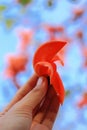 Close up Africom tulip flower