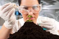 Scientist woman working Royalty Free Stock Photo