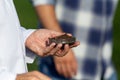 Agronomist checking soil quality in field Royalty Free Stock Photo