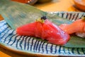 close up akami Bluefin Tuna Sushi served by hand with pickled wasabi Royalty Free Stock Photo