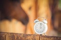 Alarm clock and horse in the background. Farm concept. Royalty Free Stock Photo