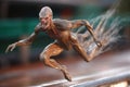 close-up of alien athlete jumping, with blurred background and motion blur