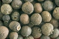 Close-up allspice Royalty Free Stock Photo