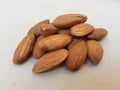 Close up of almond with background