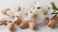 A close up of almonds and flowers on a table on a white background Royalty Free Stock Photo