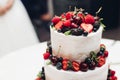 Close-up amazing fresh appetizing sweet cake with cream covered by refreshing fruit and berries Royalty Free Stock Photo