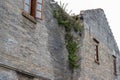 Close-up of ancient building exterior walls and plants in a Chinese style garden Royalty Free Stock Photo