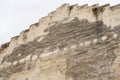 Close-up of ancient building exterior walls and plants in a Chinese style garden Royalty Free Stock Photo