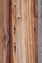 Close up of ancient old wooden door. Royalty Free Stock Photo