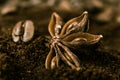 Close up of anise with coffee bean and coffee heap. Royalty Free Stock Photo
