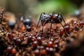 a close up of a ant walking on the ground. Generative Ai Royalty Free Stock Photo