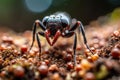 a close up of a black spider with red eyes. Generative Ai Royalty Free Stock Photo