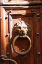 Close up of antique metal iron door knocker in shape of lion head with ring on old wood entrance with notches Royalty Free Stock Photo