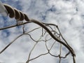 Close-up Antoni Llena tribute to Castellers, square Sant Miquel, Barcelona, Spain. Royalty Free Stock Photo