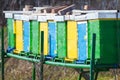 Close Up of Apiary in the Field Next to Forest Trees