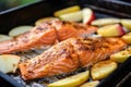 close-up of apple cider soaked salmon ready for grilling Royalty Free Stock Photo