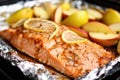 close-up of apple cider soaked salmon ready for grilling Royalty Free Stock Photo