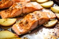 close-up of apple cider soaked salmon ready for grilling Royalty Free Stock Photo