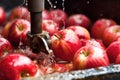 close-up of apples being crushed in a press