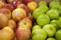 Close-up of apples on display in market Royalty Free Stock Photo