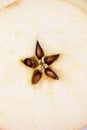 Close-up of apples seeds Royalty Free Stock Photo