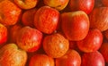 Close up of Apples.Stack of ripe red fresh south Asian apples gathered together. Asian apples