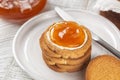 Close-up of Apricot Jam and Butter on Rusks or Fette Biscottate or Zwieback