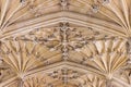 Close up architecture details of the ceiling of the The Divinity School, famous historical site, Oxford, England