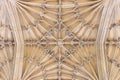 Close up architecture details of the ceiling of the The Divinity School, famous historical site, Oxford, England Royalty Free Stock Photo