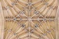 Close up architecture details of the ceiling of the The Divinity School, famous historical site, Oxford, England Royalty Free Stock Photo