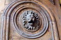 Close-up architecture details. the element of the front door with a lion`s head.