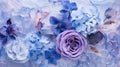 Close-up Art of Frozen Blue and Purple Flowers and Petals AI Generated