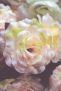 Close up of artificial flowers; floral background Royalty Free Stock Photo