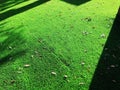 Close up of the artificial grass turf background Royalty Free Stock Photo