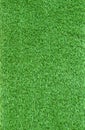 close up artificial green grass leaves use as nauture and multipurpose background,texture Royalty Free Stock Photo