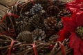 Close up of artificial nest with pine cones and poinsettia flowers Royalty Free Stock Photo