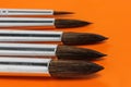 Close Up Of Artistic Brushes