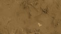 Niger area. Sepia elevation map Royalty Free Stock Photo