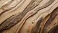 Close-up of Ash Wood Texture