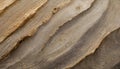 Close-up of Ash Wood Texture